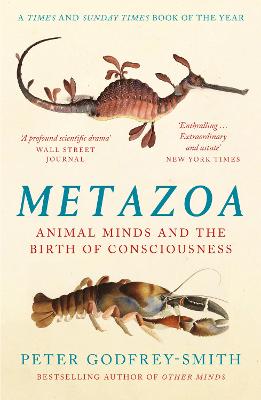 Metazoa