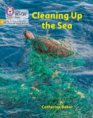 Cleaning up the Sea