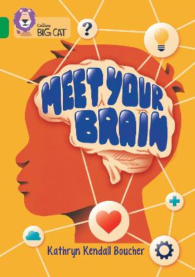 Meet Your Brain