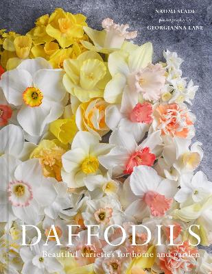 Daffodils