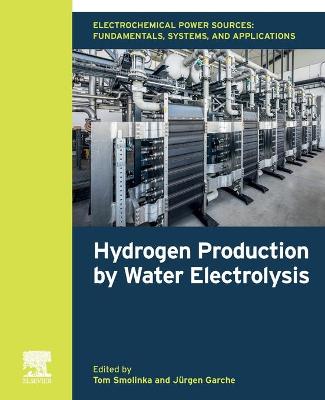 Electrochemical Power Sources: Fundamentals, Systems, and Applications