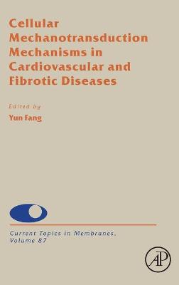 Cellular Mechanotransduction Mechanisms in Cardiovascular and Fibrotic Diseases