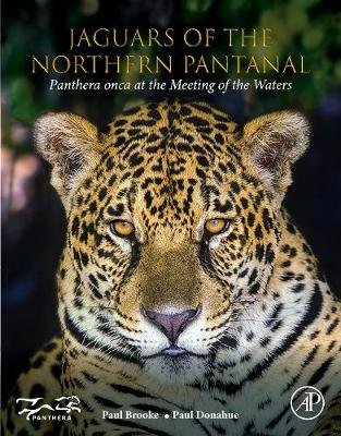 Jaguars of the Northern Pantanal