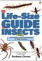Life-Size Guide to Insects