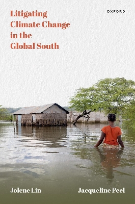 Litigating Climate Change in the Global South