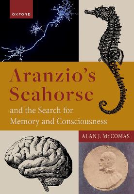 Aranzio's Seahorse