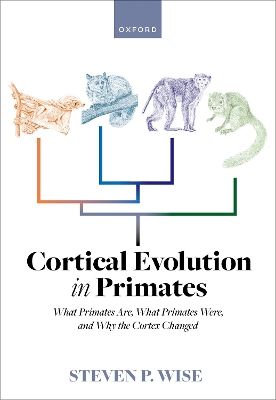 Cortical Evolution in Primates
