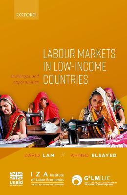 Labour Markets in Low-Income Countries
