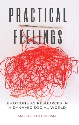 Practical Feelings