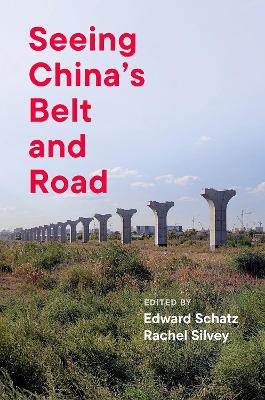 Seeing China's Belt and Road