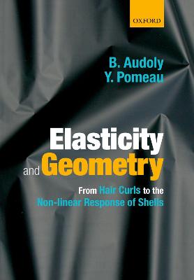 Elasticity and Geometry
