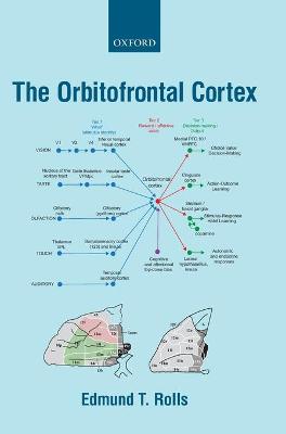 The Orbitofrontal Cortex