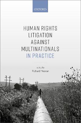 Human Rights Litigation against Multinationals in Practice