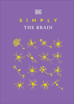 Simply The Brain