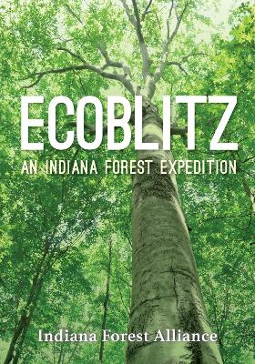 Ecoblitz