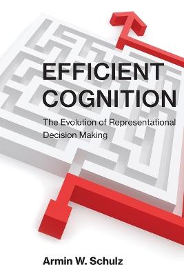 Efficient Cognition