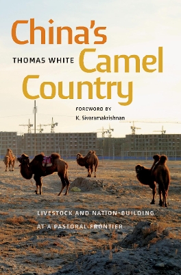 China's Camel Country