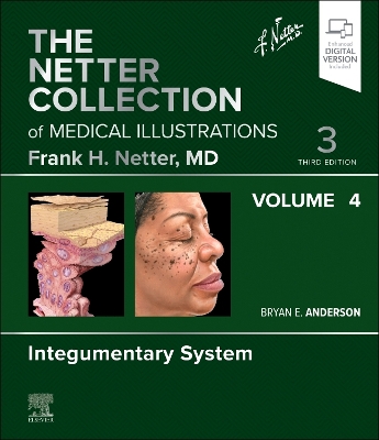 Netter Collection of Medical Illustrations: Integumentary System, Volume 4