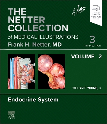 The Netter Collection of Medical Illustrations: Endocrine System, Volume 2