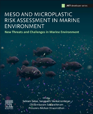Meso- and Microplastic Risk Assessment in Marine Environments