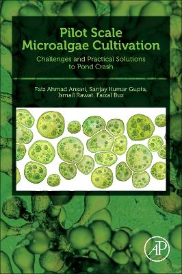 Pilot Scale Microalgae Cultivation