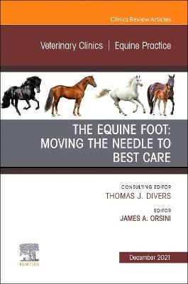 Equine Foot: Moving the Needle to Best Care, An Issue of Veterinary Clinics of North America: Equine Practice