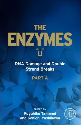 DNA Damage and Double Strand Breaks