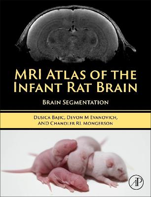 MRI Atlas of the Infant Rat Brain