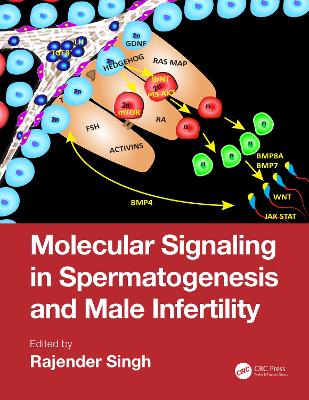 Molecular Signaling in Spermatogenesis and Male Infertility