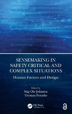 Sensemaking in Safety Critical and Complex Situations