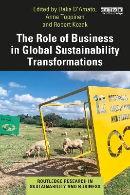 The Role of Business in Global Sustainability Transformations