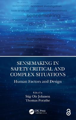 Sensemaking in Safety Critical and Complex Situations