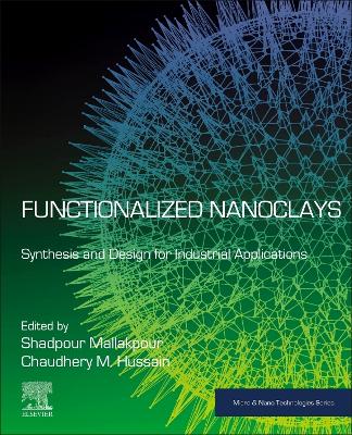 Functionalized Nanoclays