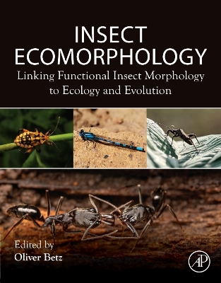 Insect Ecomorphology