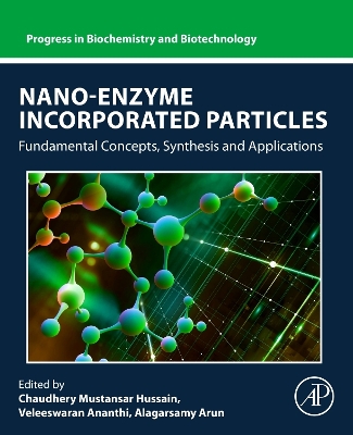 Nano-Enzyme Incorporated Particles