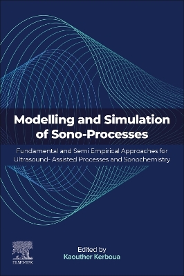 Modelling and Simulation of Sono-Processes