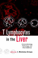 T Lymphocytes in the Liver
