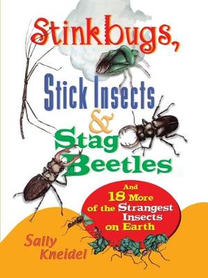 Stink Bugs, Stick Insects, and Stag Beetles