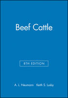 Beef Cattle