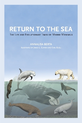 Return to the Sea