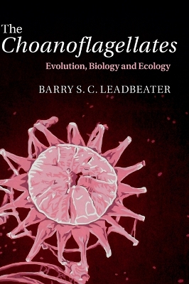 The Choanoflagellates