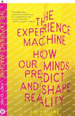 The Experience Machine