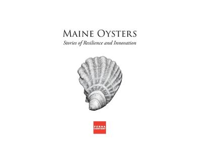 Maine Oysters