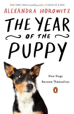 Year of the Puppy