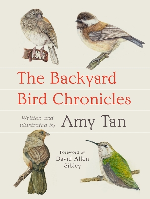 Backyard Bird Chronicles