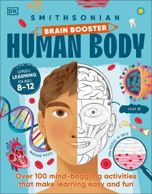 Brain Booster Human Body