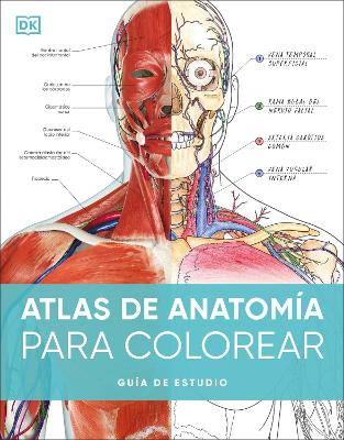 Atlas de anatomia para colorear (The Human Body Coloring Book)