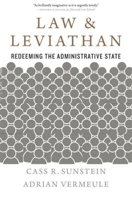 Law and Leviathan