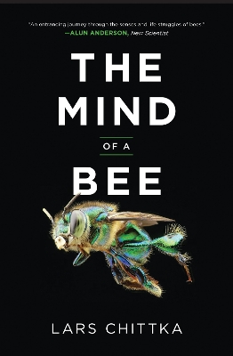 Mind of a Bee