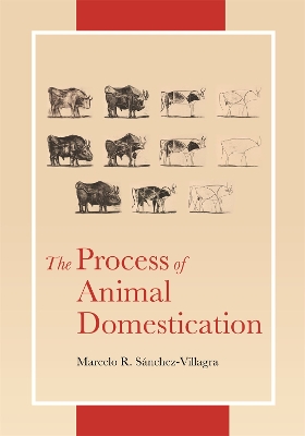 Process of Animal Domestication